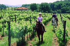 Italy-Tuscany-Seven Castles Ride in Chianti